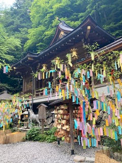 大阪の占い師 季旺の投稿 強力な龍神パワーで良縁を導く神社をご紹介します